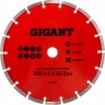 Сегментный алмазный диск GIGANT G-1037 1138739