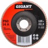 Лепестковый торцевой круг GIGANT GRF-60 1492521