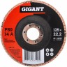Лепестковый торцевой круг GIGANT GRF-80 1492523